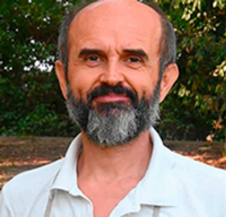 Prof. Mauro Sandrini